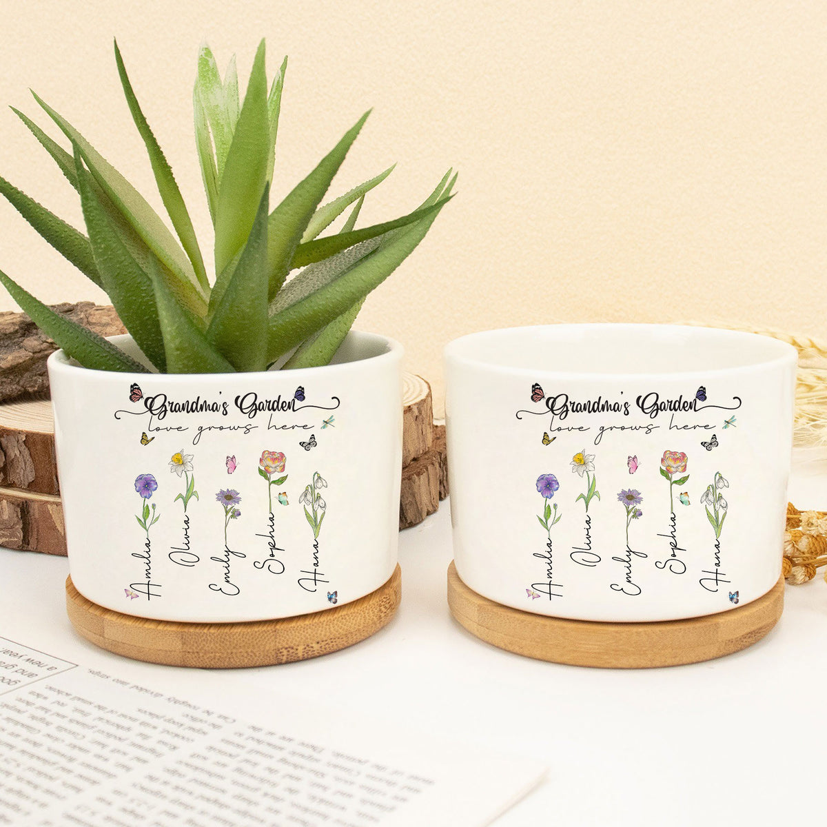 Planting Seeds of Love: The Perfect Mother's Day Gift for Grandma